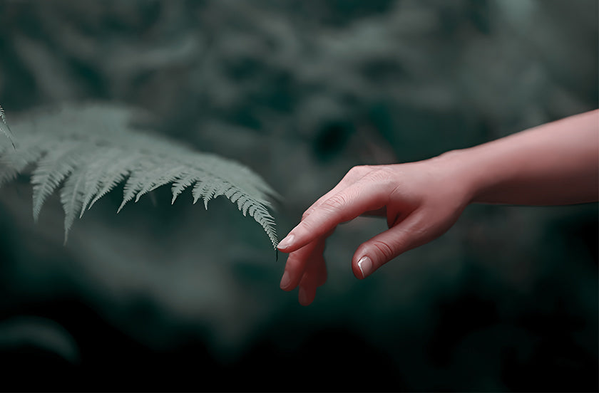 Young woman's hand gently touching the tip of a tree leaf