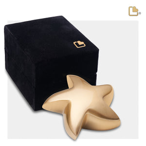 Star Brushed Gold Cremation Urn