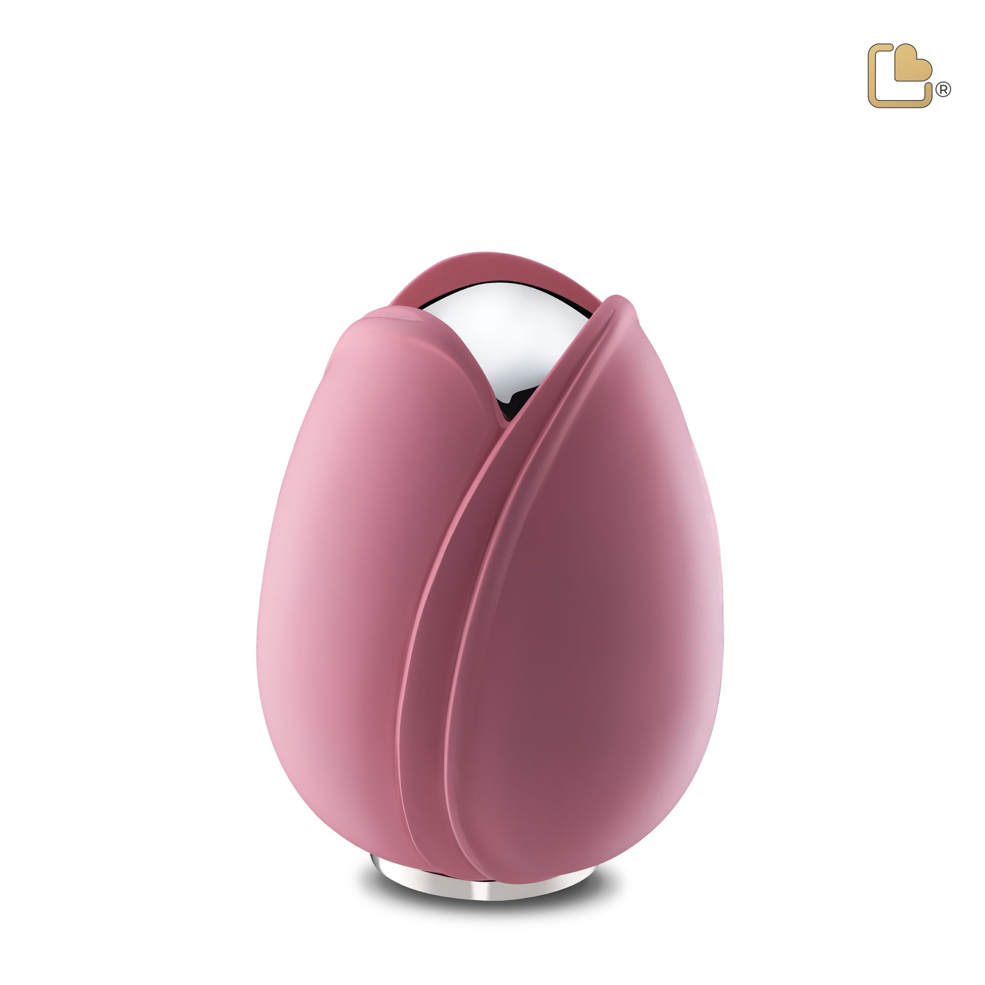 Tulipª Medium Urn Pink & Polished Silver