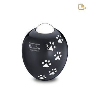 Adore™  Midnight Large Pet Cremation Urn