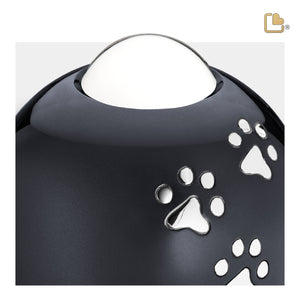 Adore Midnight Medium Pet Cremation Urn